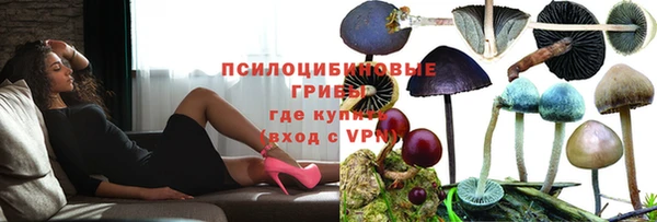 амф Арсеньев
