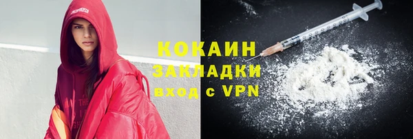 амф Арсеньев