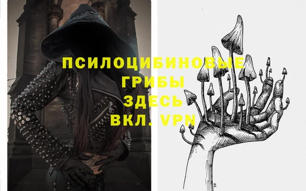 амф Арсеньев